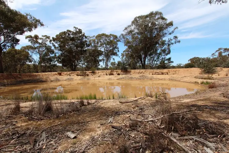 Fourth view of Homely rural property listing, 829 Maldon-Newstead Road, Maldon VIC 3463