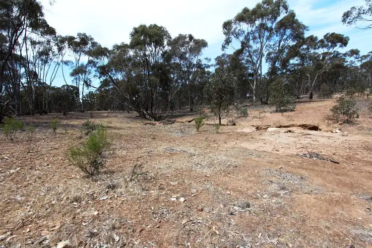 Fifth view of Homely rural property listing, 829 Maldon-Newstead Road, Maldon VIC 3463