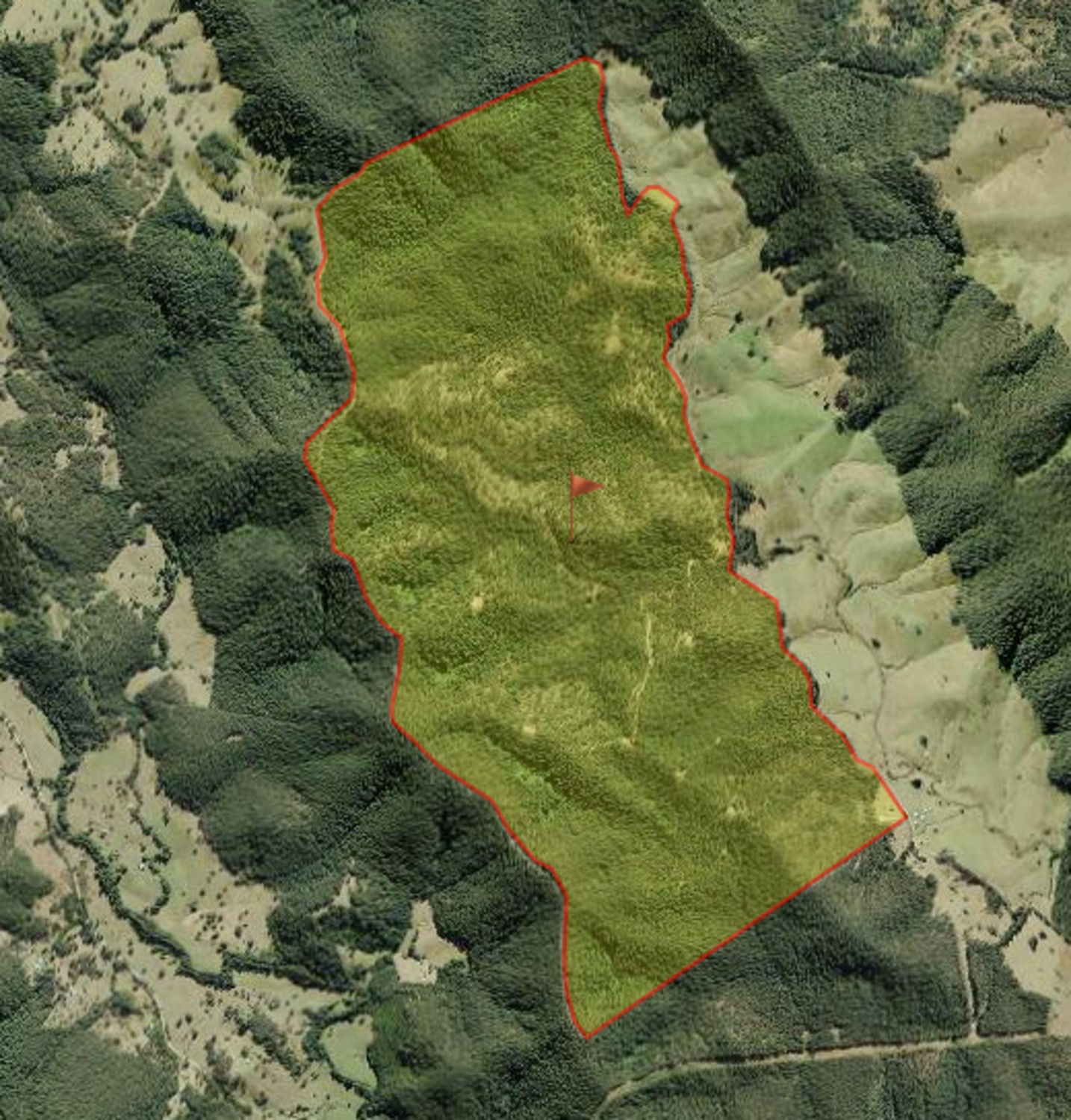 Main view of Homely rural property listing, 271 Prices Creek Road, Bunyah NSW 2429