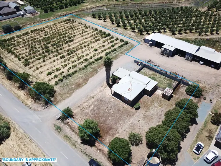 Main view of Homely house listing, 315 Orrvale Road, Orrvale VIC 3631