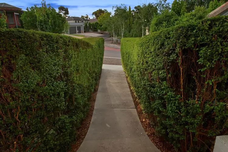 Third view of Homely house listing, 8 Stringybark Court, Strathdale VIC 3550