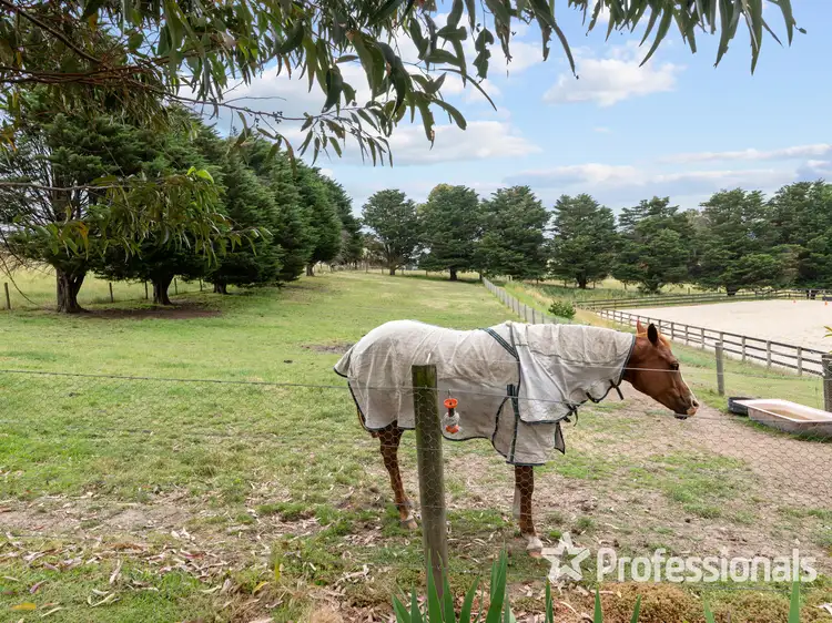 Second view of Homely rural property listing, 1571 Melba Highway, Dixons Creek VIC 3775
