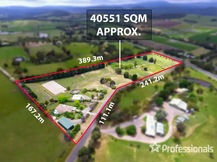 Sixth view of Homely rural property listing, 1571 Melba Highway, Dixons Creek VIC 3775