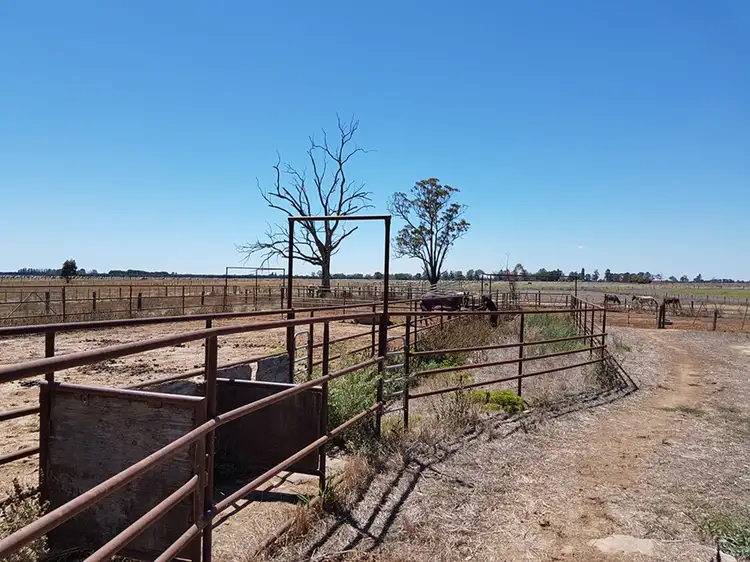 Sixth view of Homely rural property listing, Address available on request