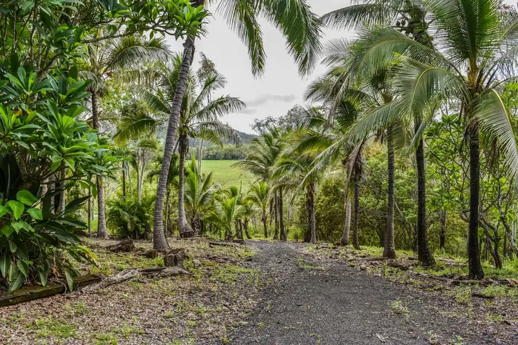 Main view of Homely rural property listing, 1707 Yakapari Seaforth Road, Mount Jukes QLD 4740