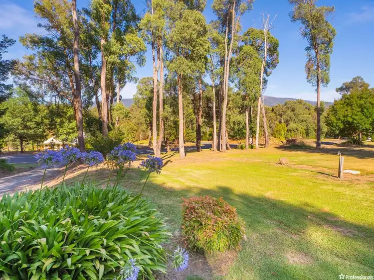 Third view of Homely house listing, 27 Buxton-Marysville Road, Buxton VIC 3711