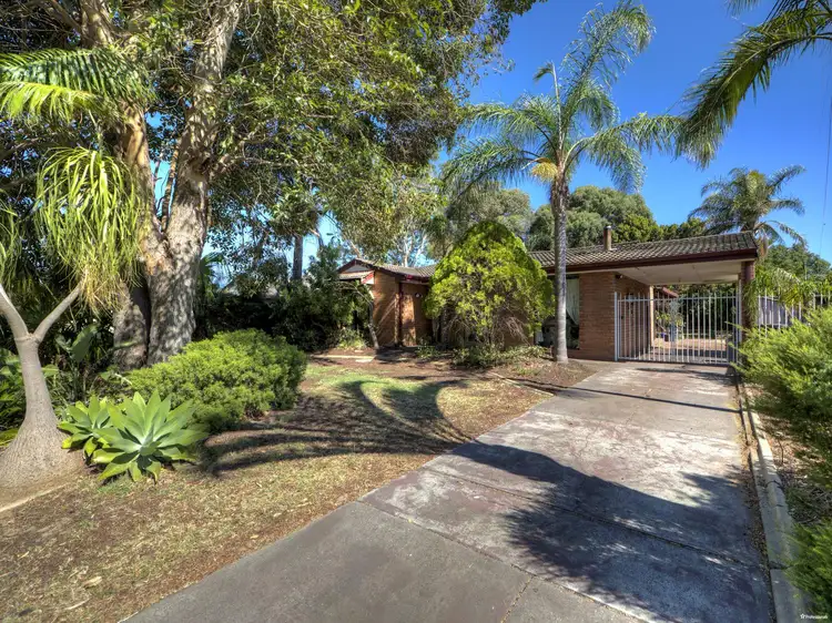 Main view of Homely house listing, 18 Essex Street, Forrestfield WA 6058
