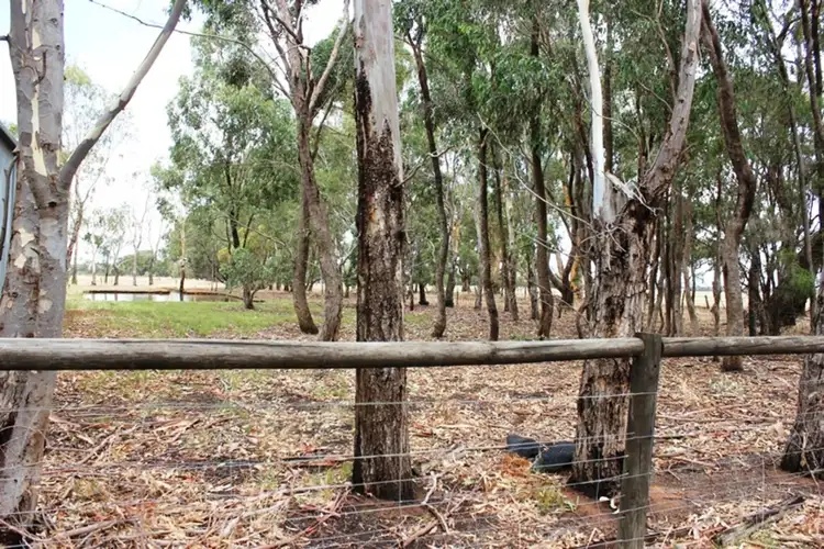 Fifth view of Homely rural property listing, 1000 Minchin Road, Mooroopna VIC 3629