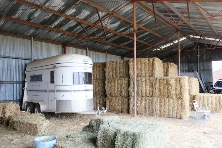 Sixth view of Homely rural property listing, 1000 Minchin Road, Mooroopna VIC 3629