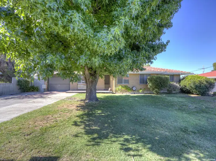 Main view of Homely house listing, 99 Sussex Road, Forrestfield WA 6058