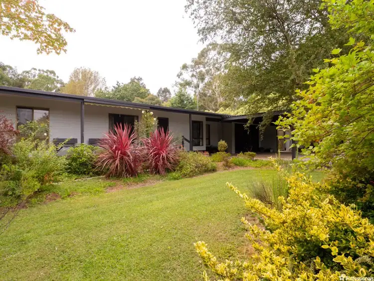 40 Mareeba Avenue, Buxton VIC 3711