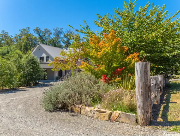 Main view of Homely house listing, 556 Marysville Road, Narbethong VIC 3778