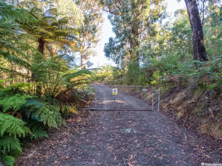 121 The Eagles Nest Road, Marysville VIC 3779
