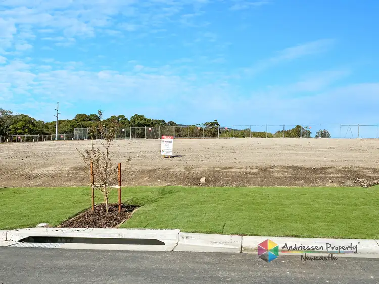 12 Tulipwood Avenue, Edgeworth NSW 2285