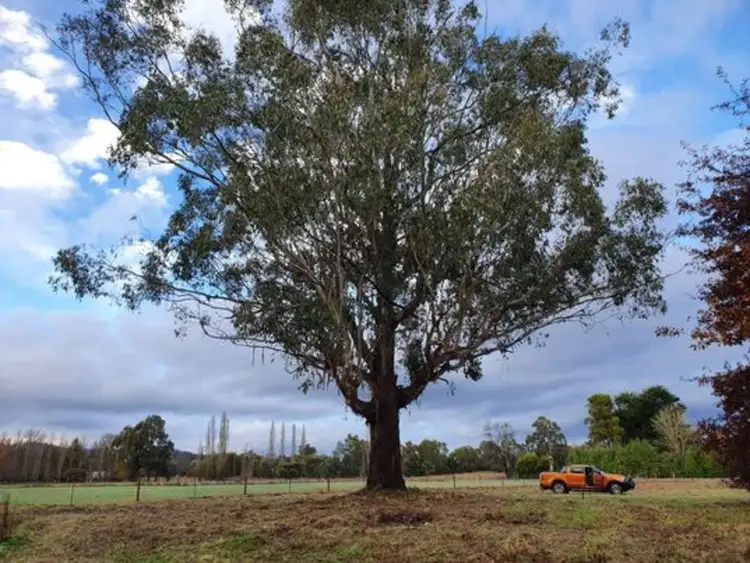 Main view of Homely land listing, 20 Dyes Lane, Buxton VIC 3711