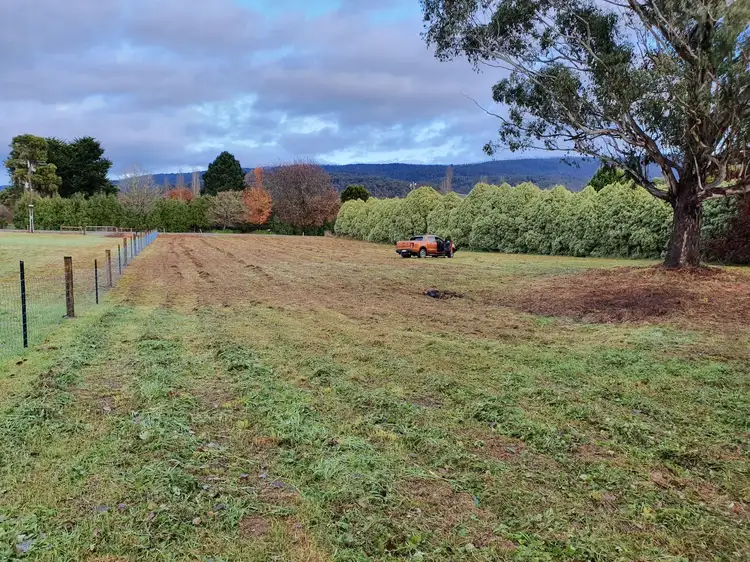 Third view of Homely land listing, 20 Dyes Lane, Buxton VIC 3711