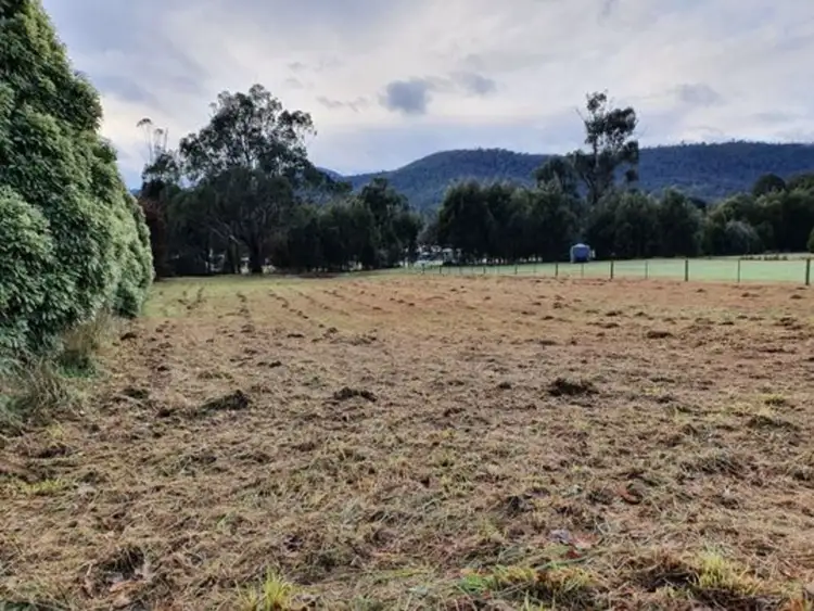 Fourth view of Homely land listing, 20 Dyes Lane, Buxton VIC 3711