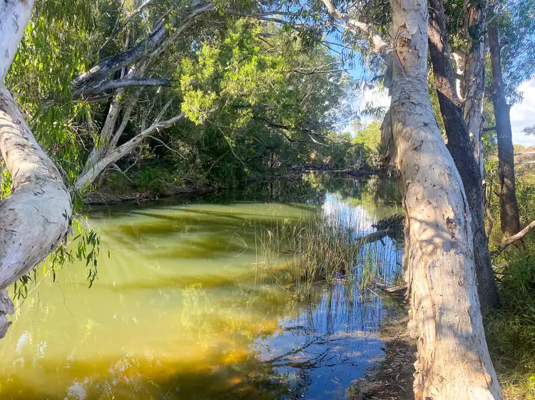 Second view of Homely rural property listing, 365 Jochheim Road, Bowen QLD 4805