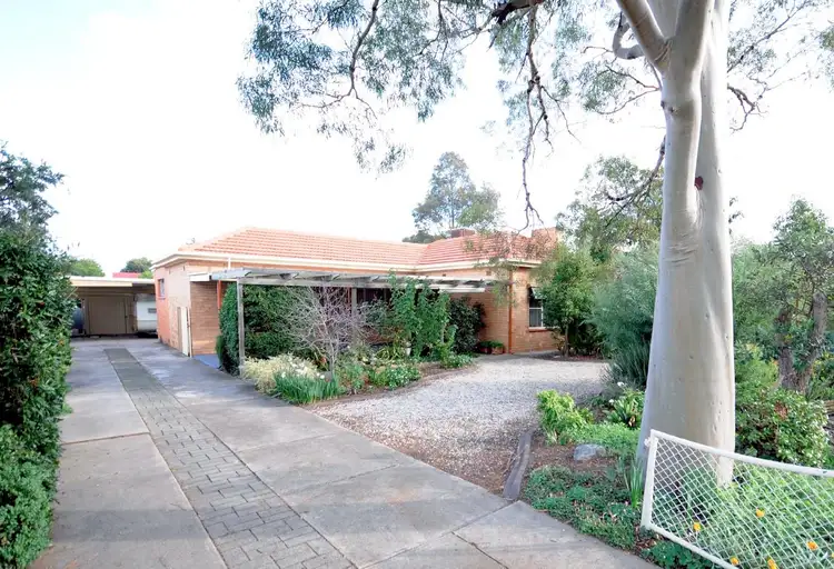 Main view of Homely house listing, 38 Bransby Avenue, North Plympton SA 5037