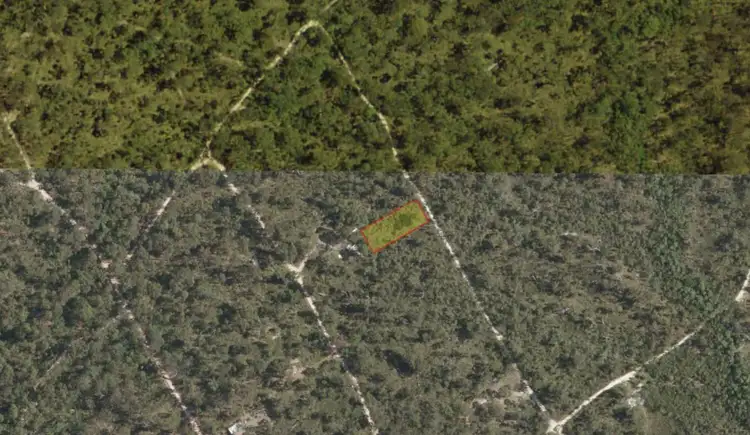 Second view of Homely rural property listing, 259 Guyra Gardens, North Arm Cove NSW 2324