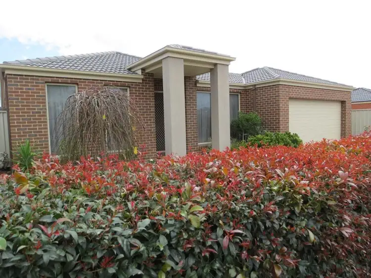 3 Black Wattle Avenue, Epsom VIC 3551
