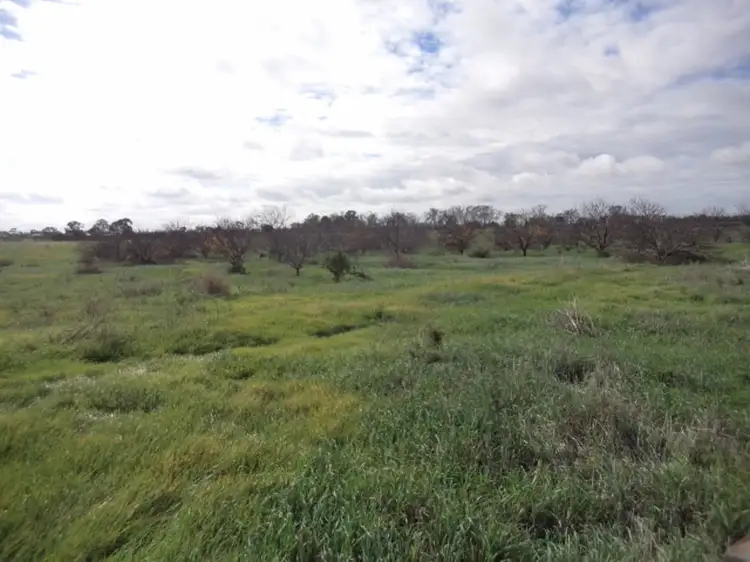 Third view of Homely land listing, 71 Eagles Lane, Koraleigh NSW 2735