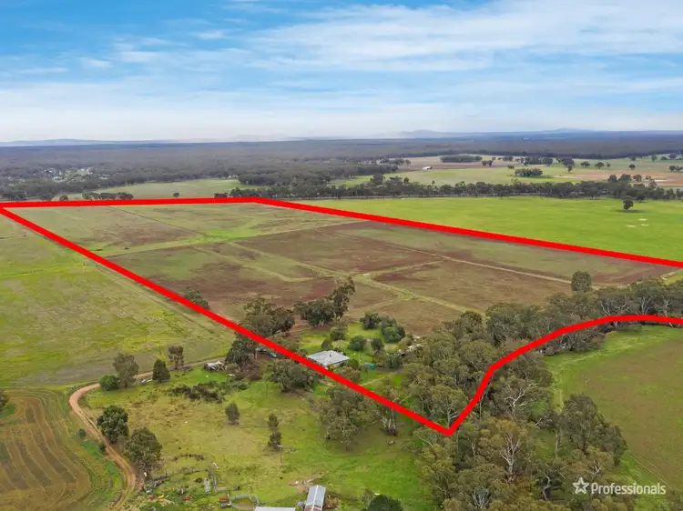 Third view of Homely rural property listing, 99 Newmarket Road, Carisbrook VIC 3464