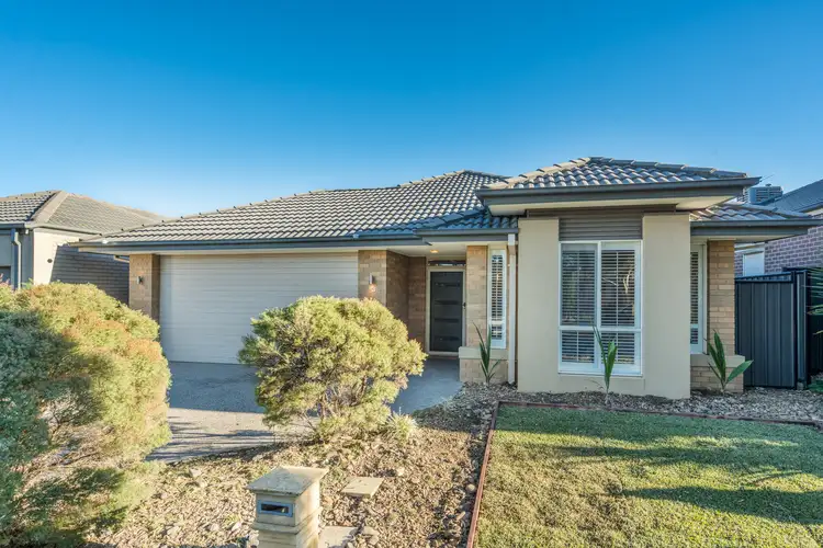 Second view of Homely house listing, 13 Lewisham Place, Craigieburn VIC 3064