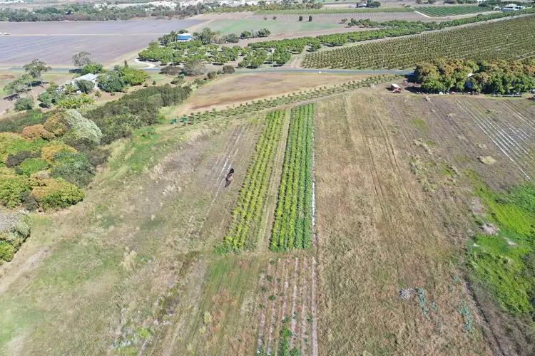 Fourth view of Homely rural property listing, Lot 2 Inverdon Road, Bowen QLD 4805