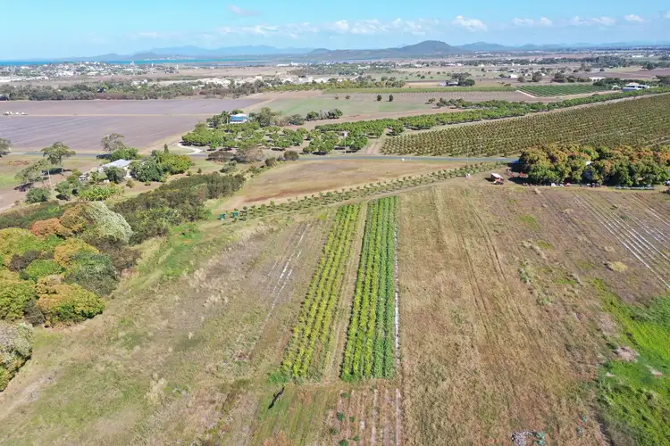 Fifth view of Homely rural property listing, Lot 2 Inverdon Road, Bowen QLD 4805