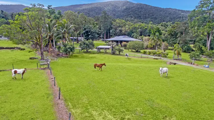Third view of Homely rural property listing, 177 Barbagallo Road, Aloomba QLD 4871