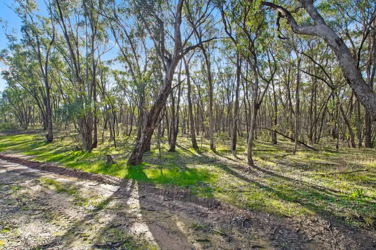 6b Pinpandoor Road, Axedale VIC 3551