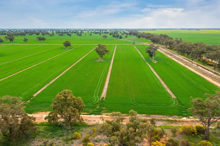 Fourth view of Homely rural property listing, 1513 Centre Road, Moama NSW 2731