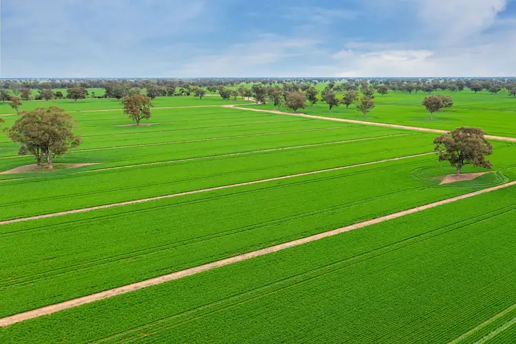 Fifth view of Homely rural property listing, 1513 Centre Road, Moama NSW 2731