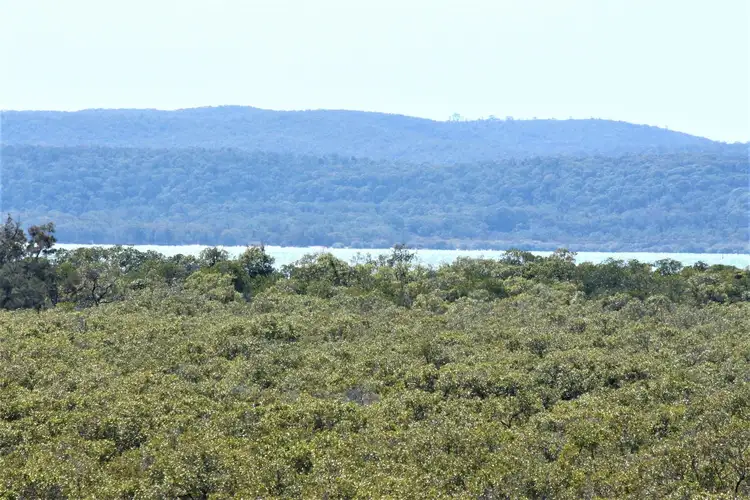 Main view of Homely land listing, 4 Timothy Street, Macleay Island QLD 4184