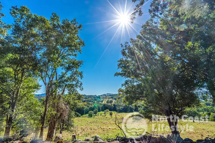 249 Wilsons Creek Road, Wilsons Creek NSW 2482