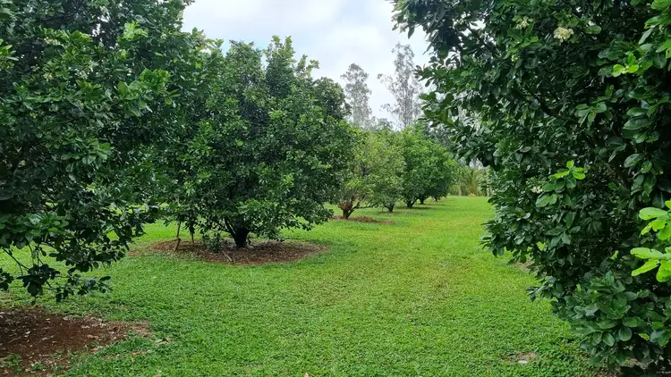 Main view of Homely rural property listing, 133 Daly Road, Camp Creek QLD 4871