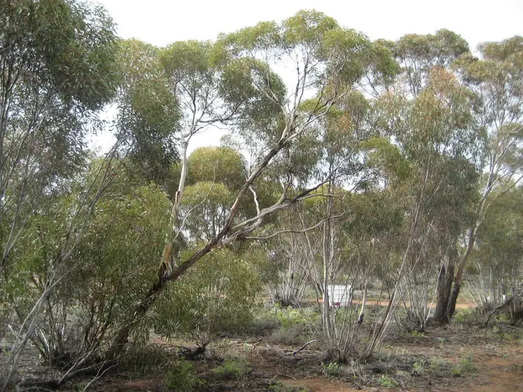 Third view of Homely rural property listing, Section/12 Pipeline Road, Bower SA 5374
