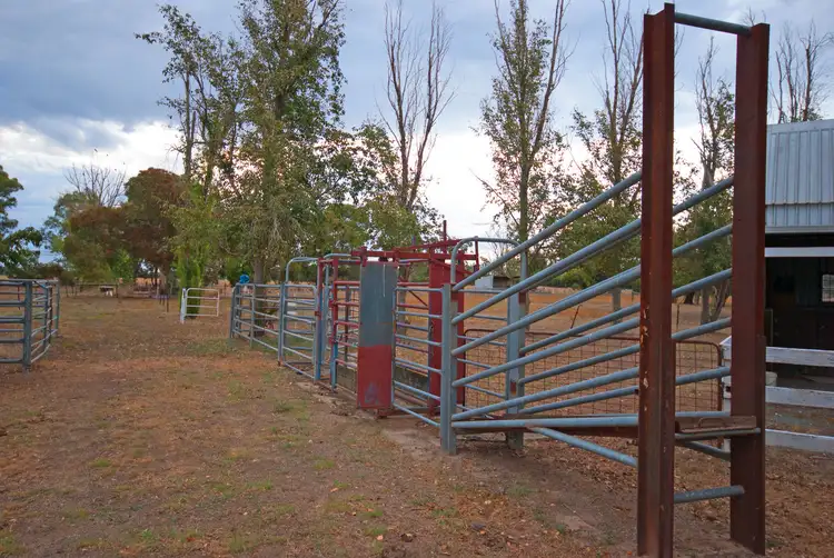 Fifth view of Homely rural property listing, 210 Verney North Road, Congupna VIC 3633