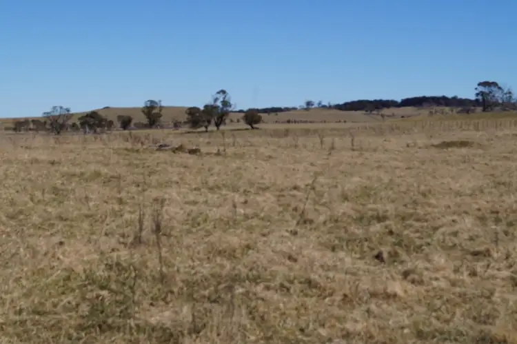 Main view of Homely rural property listing, 1350 Wards Mistake Road, Guyra NSW 2365