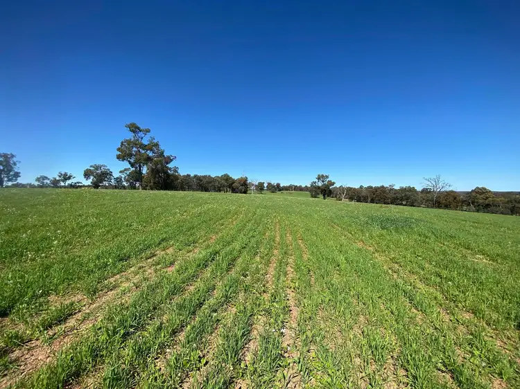 Fourth view of Homely land listing, LOT Lot, 24004 McNamara Road, Wundowie WA 6560