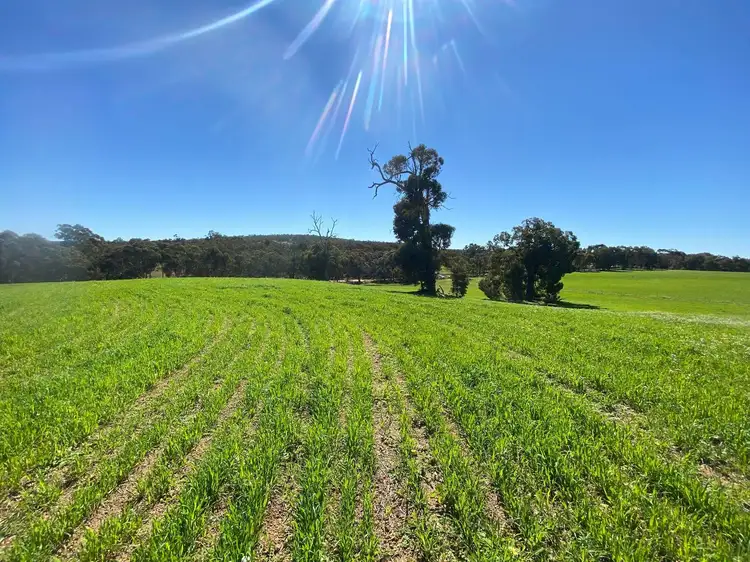Seventh view of Homely land listing, LOT Lot, 24004 McNamara Road, Wundowie WA 6560