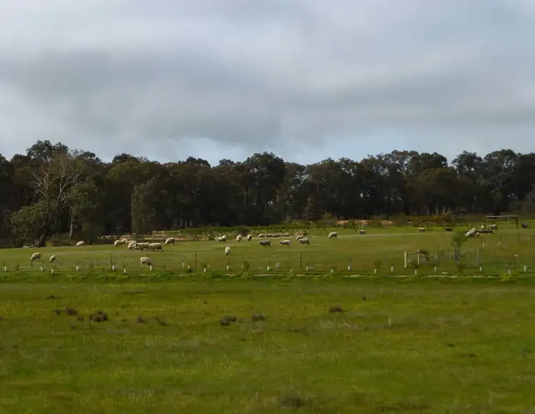 Sixth view of Homely land listing, 73C Turpins Road, Percydale VIC 3478