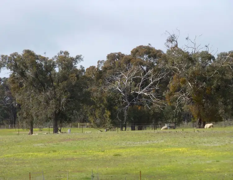 Seventh view of Homely land listing, 73C Turpins Road, Percydale VIC 3478
