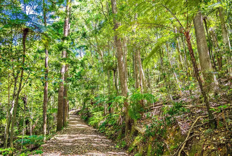 Second view of Homely rural property listing, Lots/389 & 390 Middle Pocket Road, Middle Pocket NSW 2483