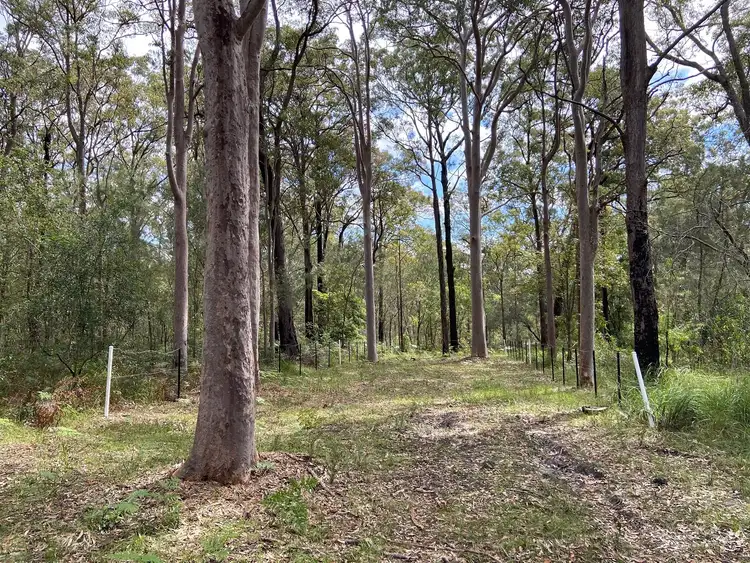 Second view of Homely rural property listing, Lot/48 The Ridgeway, North Arm Cove NSW 2324