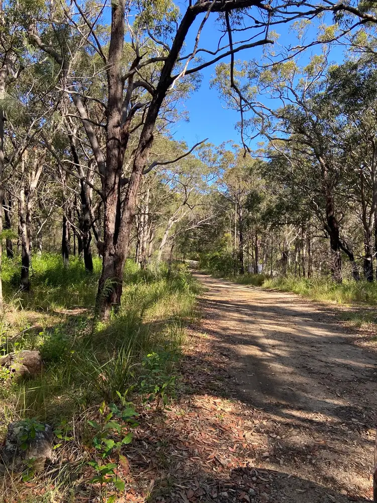 Lot/950 Muswellbrook Avenue, North Arm Cove NSW 2324