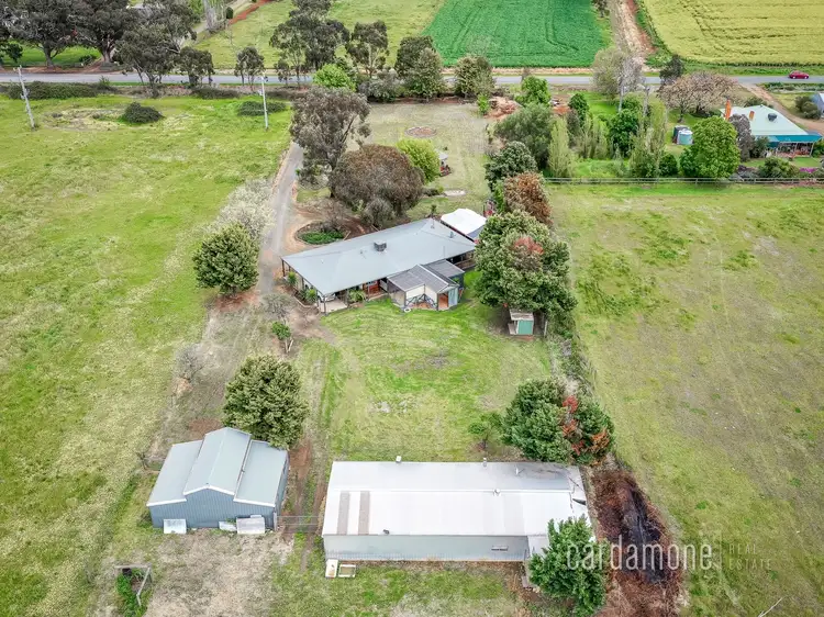 Main view of Homely rural property listing, 290 Madill Road, Undera VIC 3629