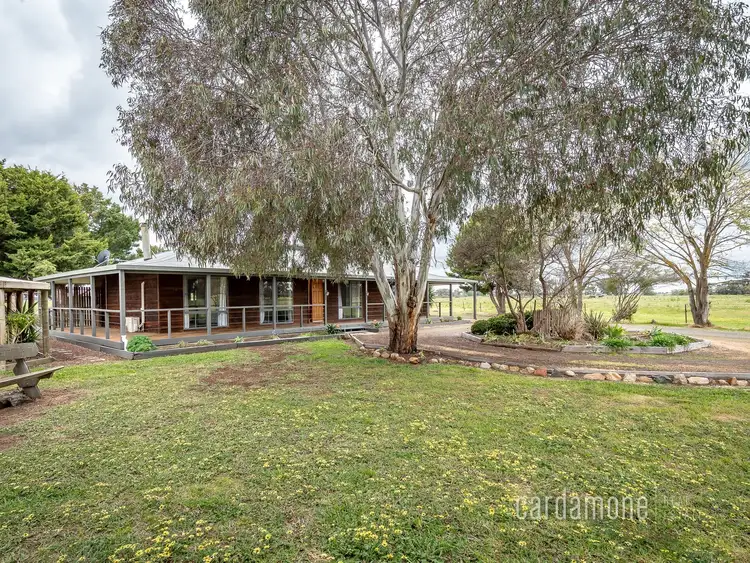 Second view of Homely rural property listing, 290 Madill Road, Undera VIC 3629