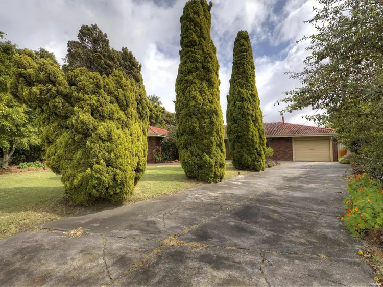 Third view of Homely house listing, 19 Larix Way, Forrestfield WA 6058